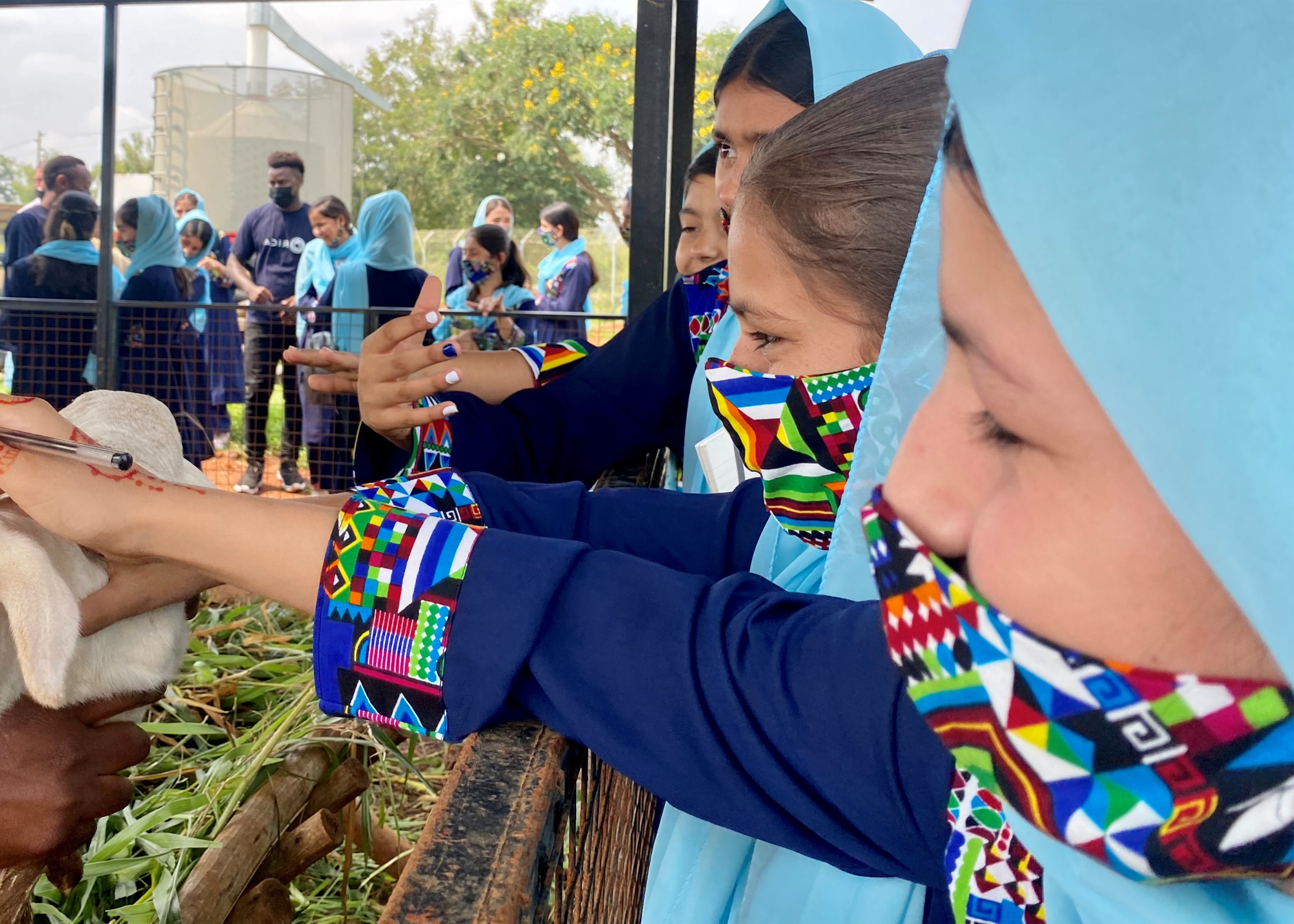 SOLA, School of Leadership Afghanistan—Rising from darkness