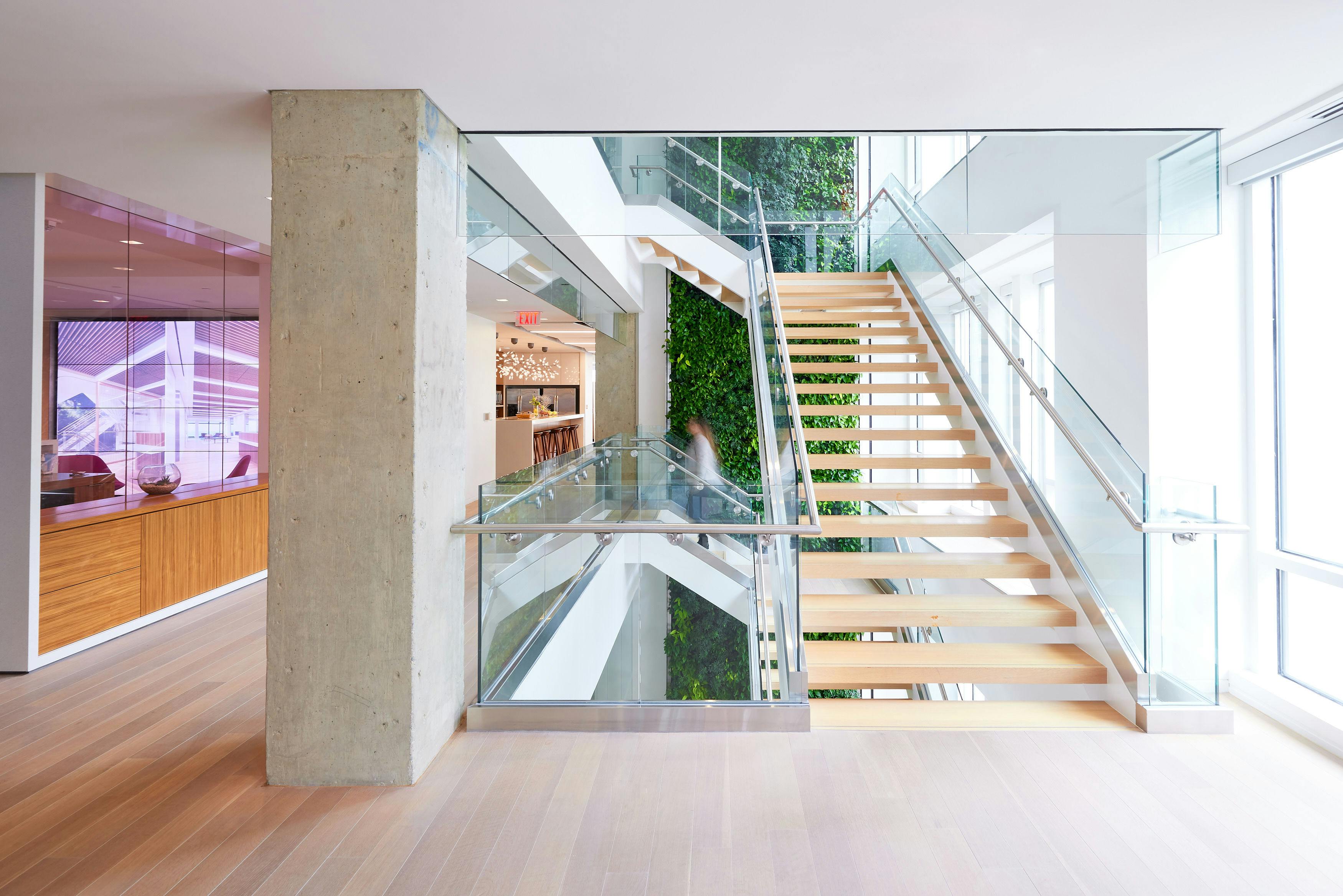 A flight of stairs in Nixon Peabody's DC office; behind the stairs, stretching out of view above and below the staircase, can be seen a green 'living wall' covered with living plants